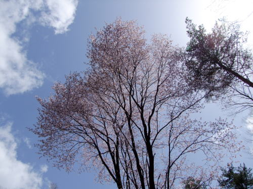 e0088260_22244087.jpg