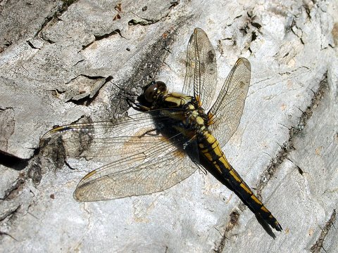 b0130166_17493858.jpg