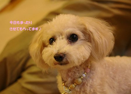 d0048067_0314841.jpg