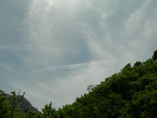 c0042869_20475820.jpg