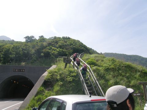c0042869_2061793.jpg