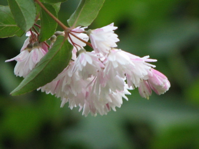 d0050472_21243367.jpg