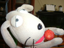 c0158573_1652115.jpg