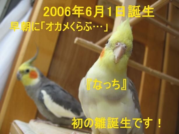 e0027078_1030366.jpg