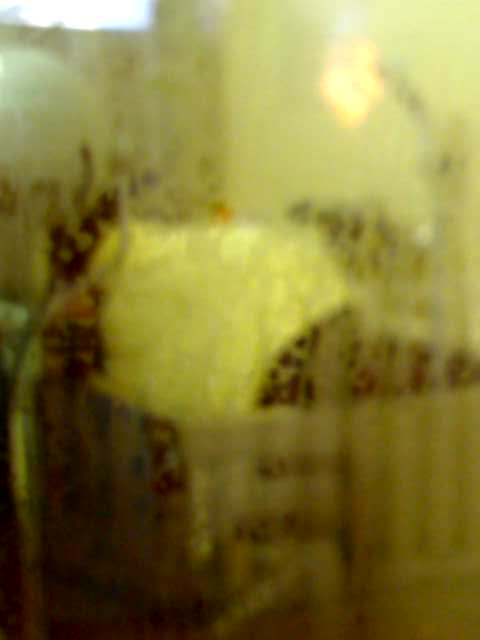 c0052779_19403064.jpg