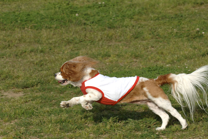 f0112087_1448305.jpg