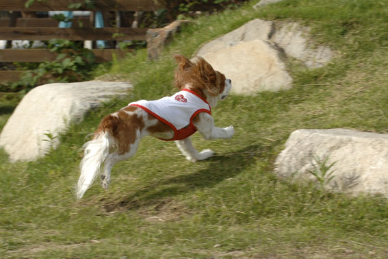 f0112087_1449712.jpg