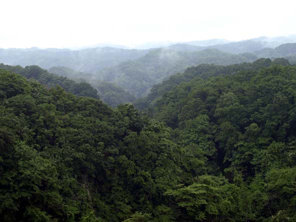 d0088788_11593195.jpg