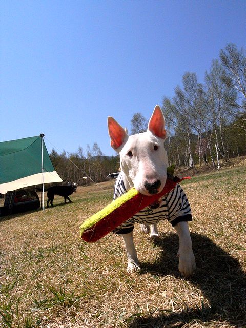 a0093592_18435294.jpg