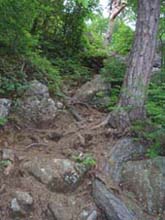 b0099994_19433110.jpg
