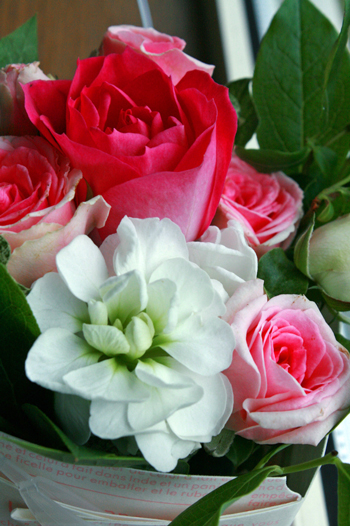f0001895_206153.jpg