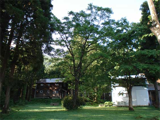 a0061599_6175426.jpg