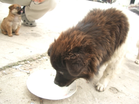 d0090300_15311828.jpg