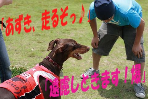 e0100007_22195662.jpg