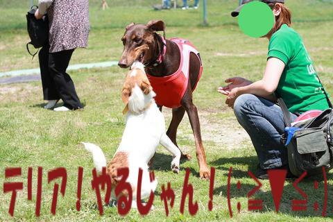 e0100007_22221511.jpg