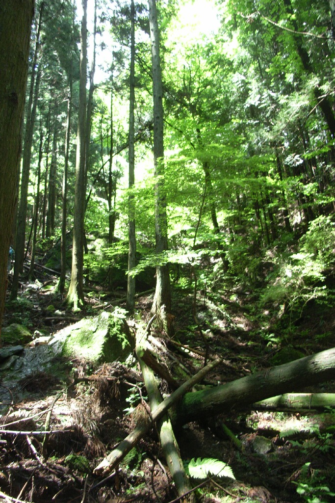 a0043408_14392199.jpg