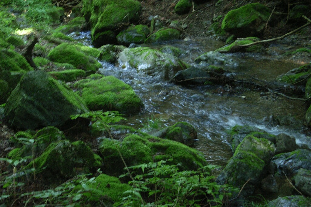 a0043408_14411288.jpg