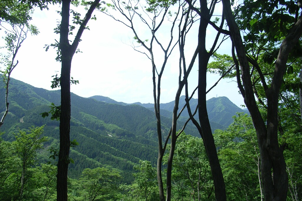 a0043408_147379.jpg