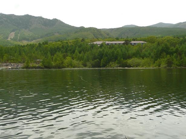 d0126708_1721879.jpg