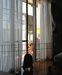 c0113109_1201591.gif