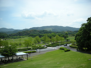 c0145209_20443865.jpg