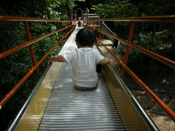 c0145209_21154529.jpg