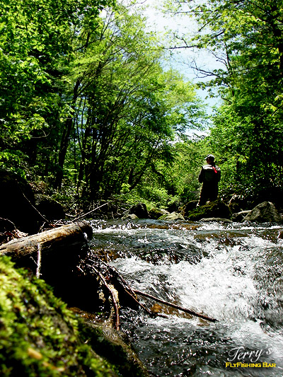 e0009009_21115683.jpg