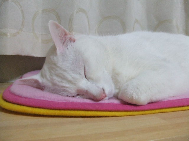 d0117011_19182163.jpg