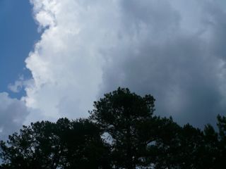b0040413_10244965.jpg