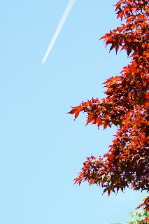 b0053414_22135999.jpg