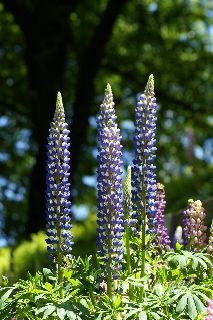 b0053414_2217474.jpg