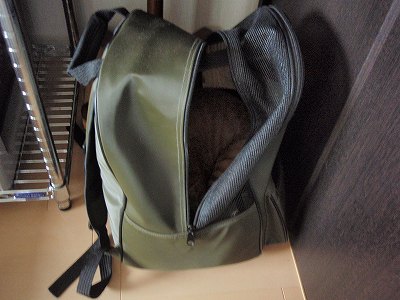 c0145016_20135049.jpg