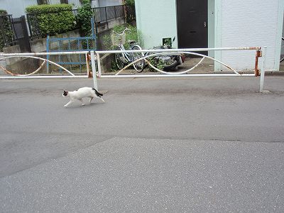 c0145016_20143774.jpg
