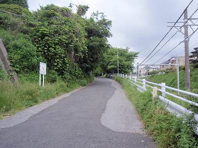 c0145016_20144856.jpg