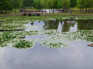 d0070920_16323979.jpg