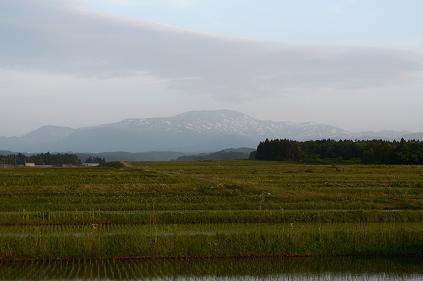 f0118332_23455430.jpg
