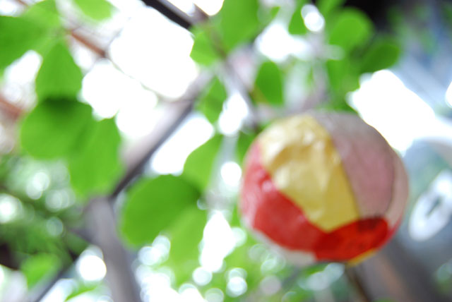 c0131034_2322534.jpg