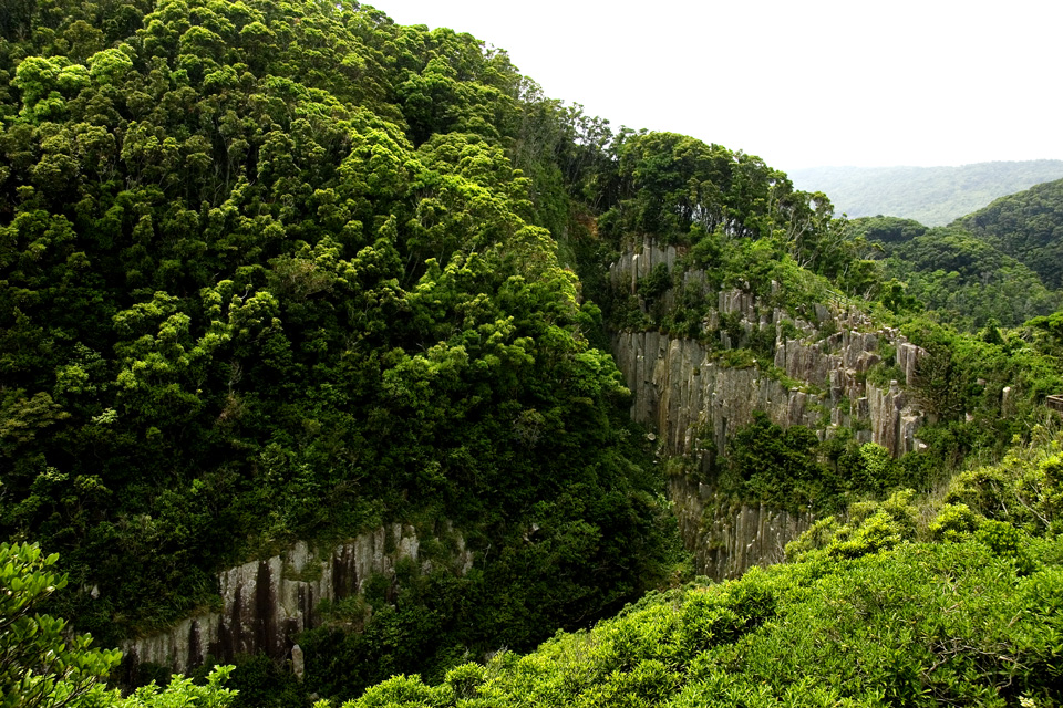 d0136836_9573626.jpg