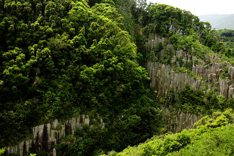 d0136836_958471.jpg