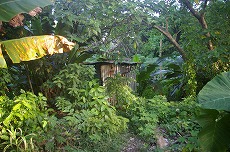f0120141_1812452.jpg