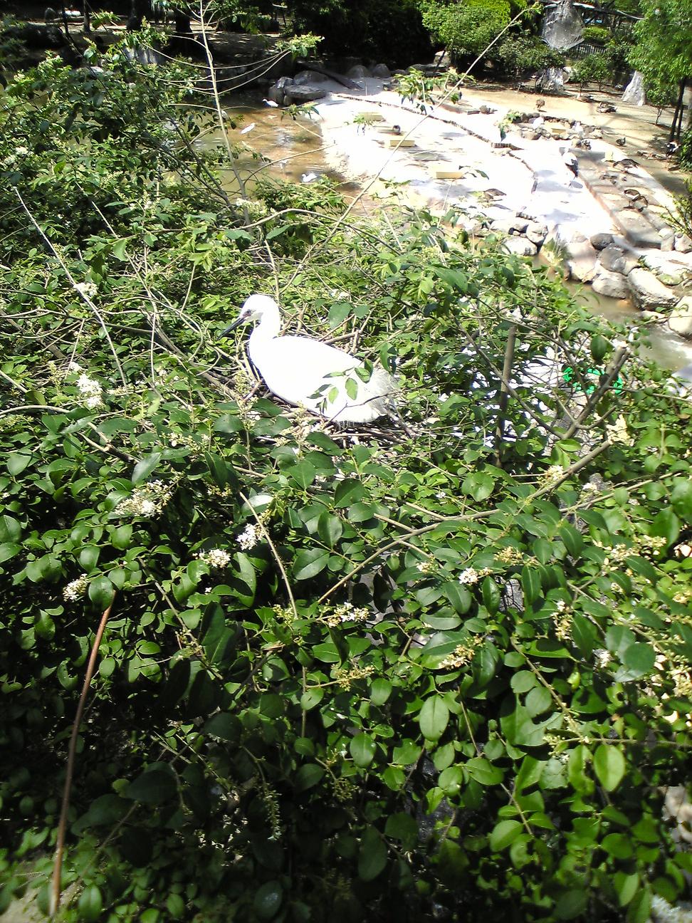 f0154041_157217.jpg