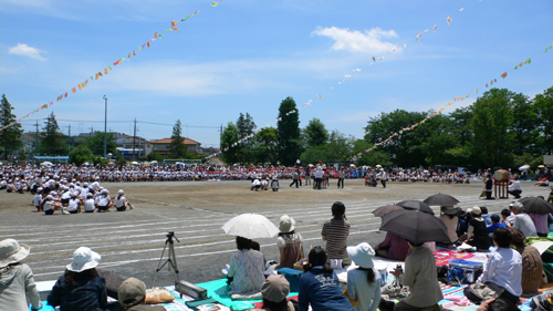 d0134147_10174319.jpg