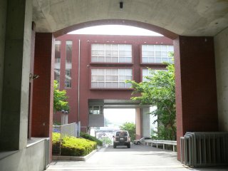 a0008549_2393460.jpg