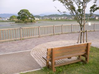 a0008549_24742.jpg
