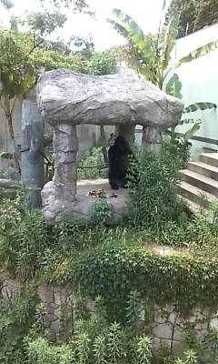 e0111751_9405360.jpg