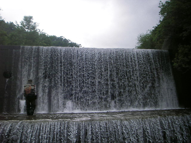 a0079652_1081520.jpg