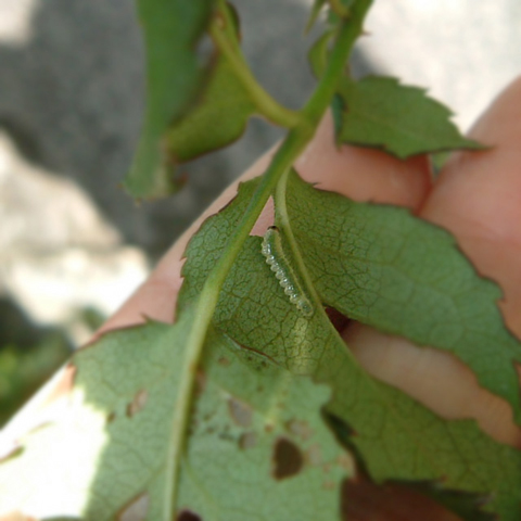 f0176353_23334330.jpg