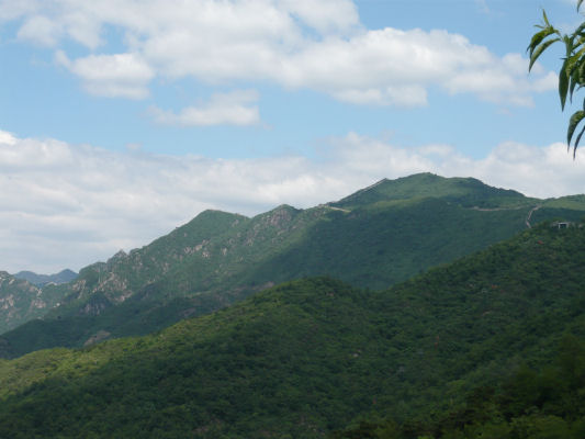 d0151463_2159638.jpg