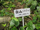 a0093965_11533581.jpg
