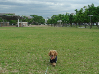 f0089568_13494137.jpg